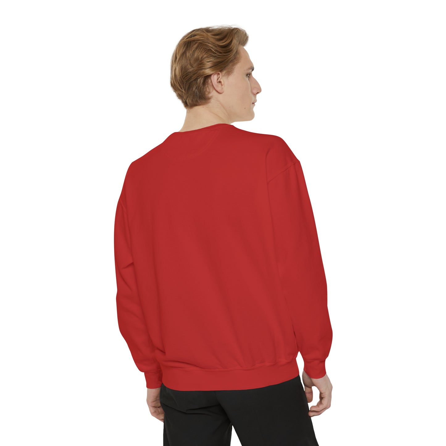 Nashville TN Unisex Garment-Dyed Sweatshirt