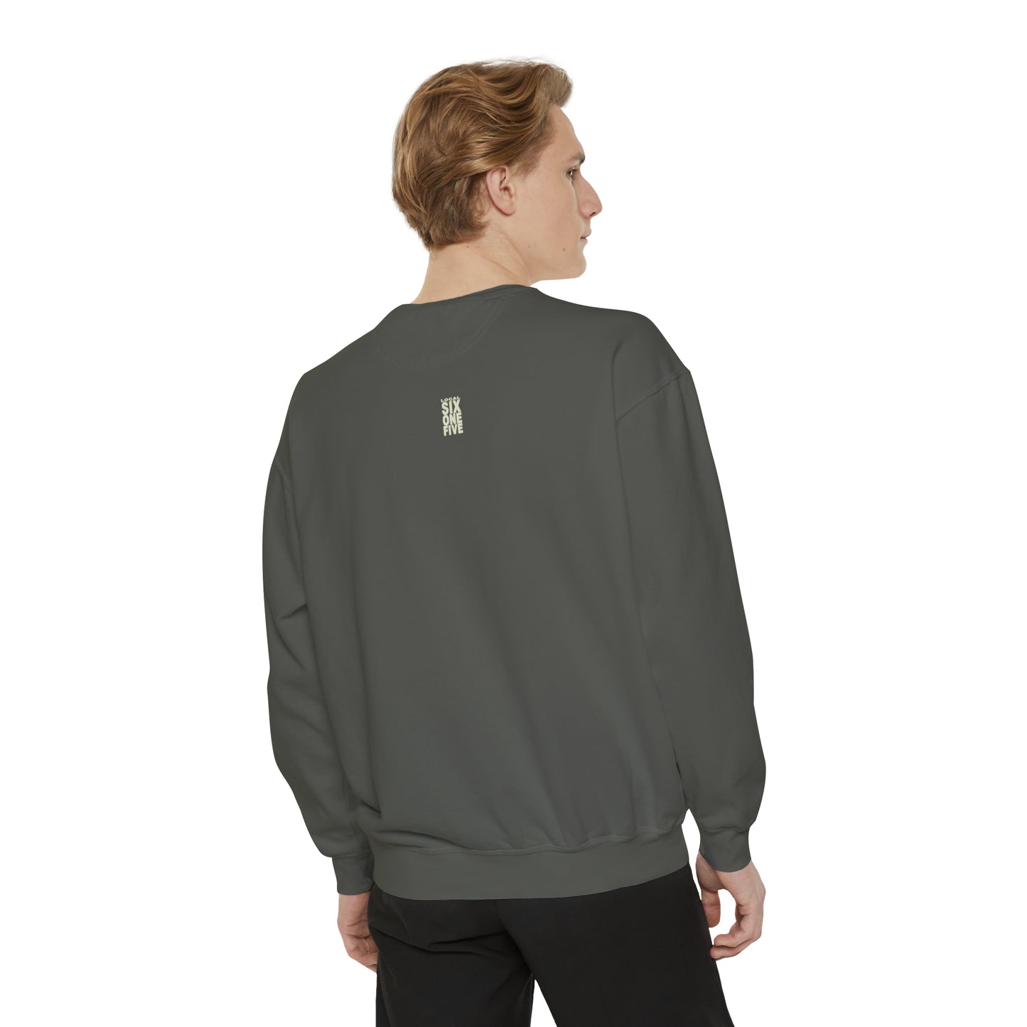 Music City USA Garment-Dyed Sweatshirt