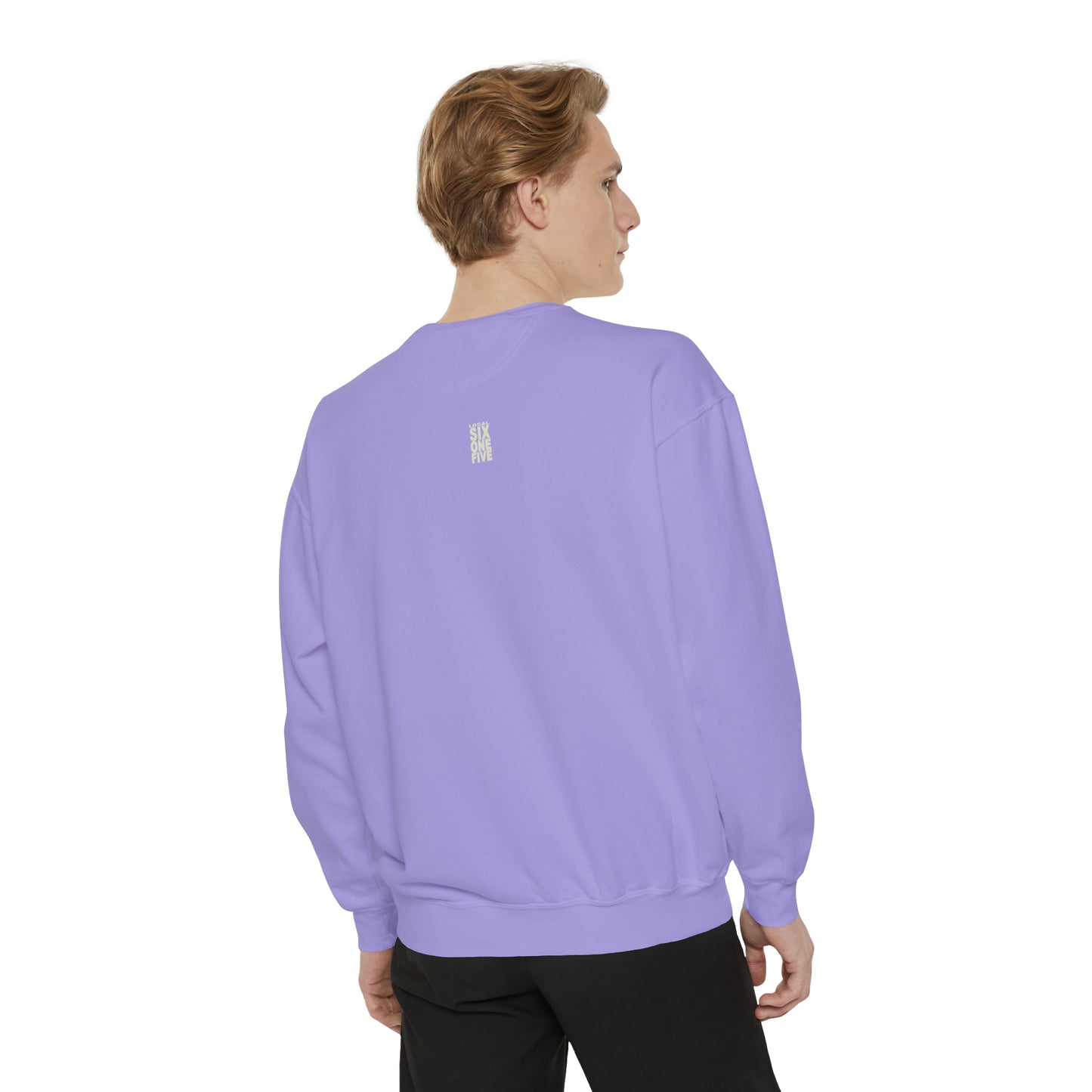 Music City USA Garment-Dyed Sweatshirt