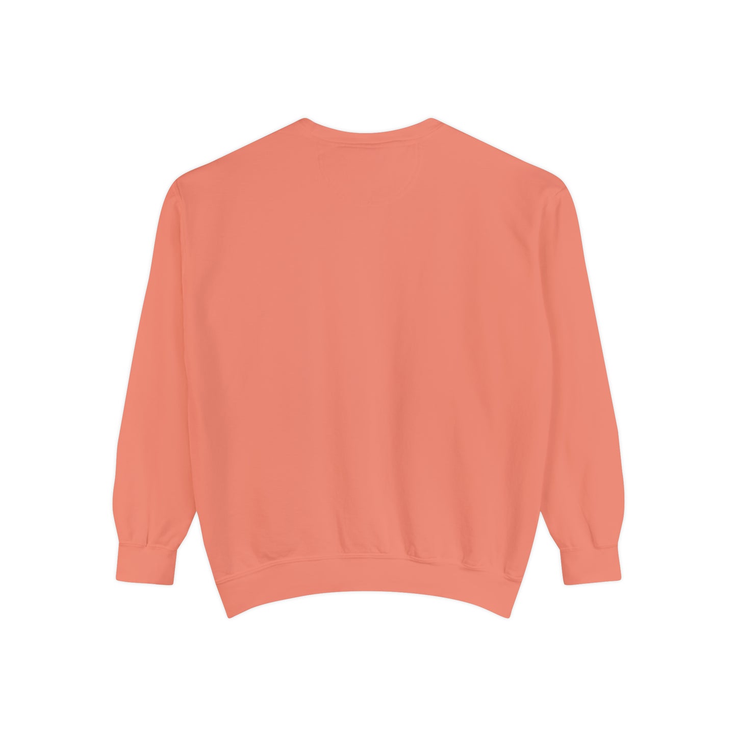 Nashville TN Unisex Garment-Dyed Sweatshirt
