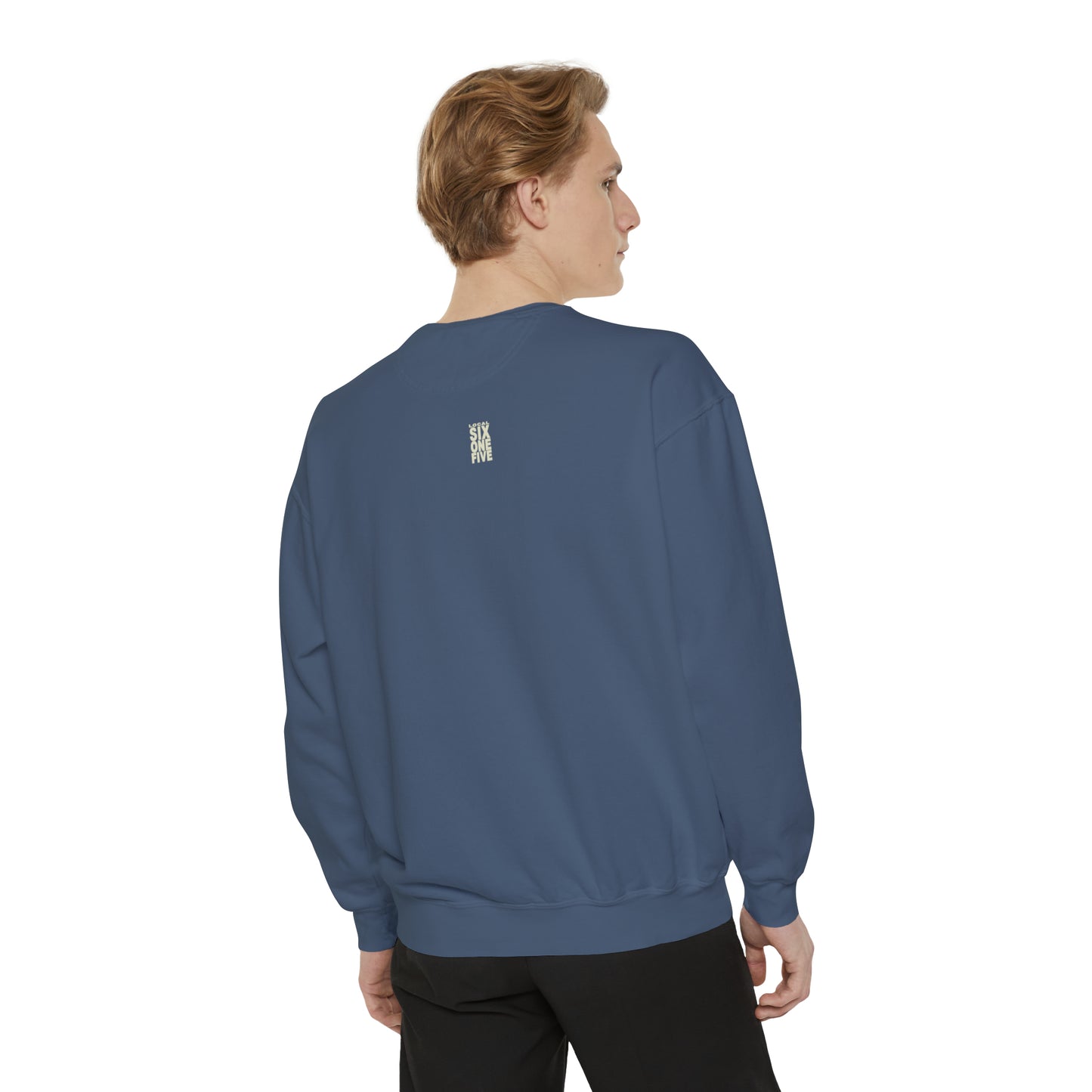 Music City USA Garment-Dyed Sweatshirt