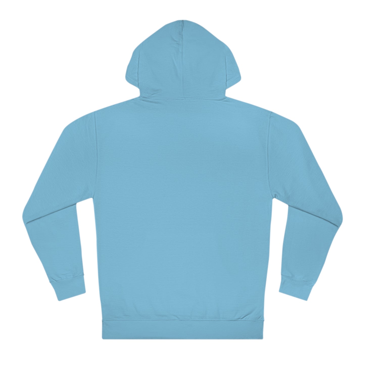 Local Script IND Unisex Hooded Sweatshirt