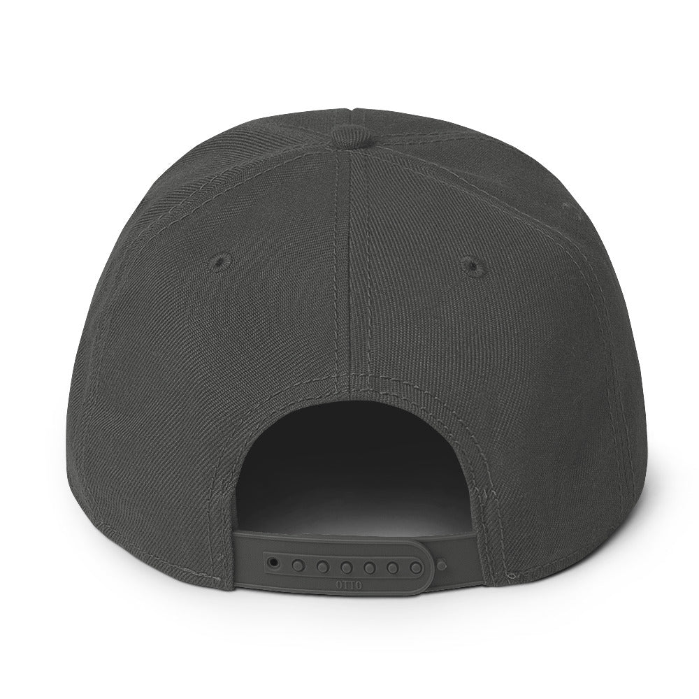 MCS! Snapback Hat